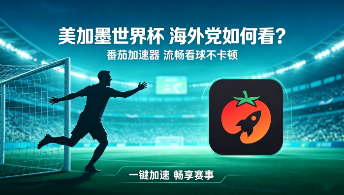 如何在国外看国内的视频网站教程