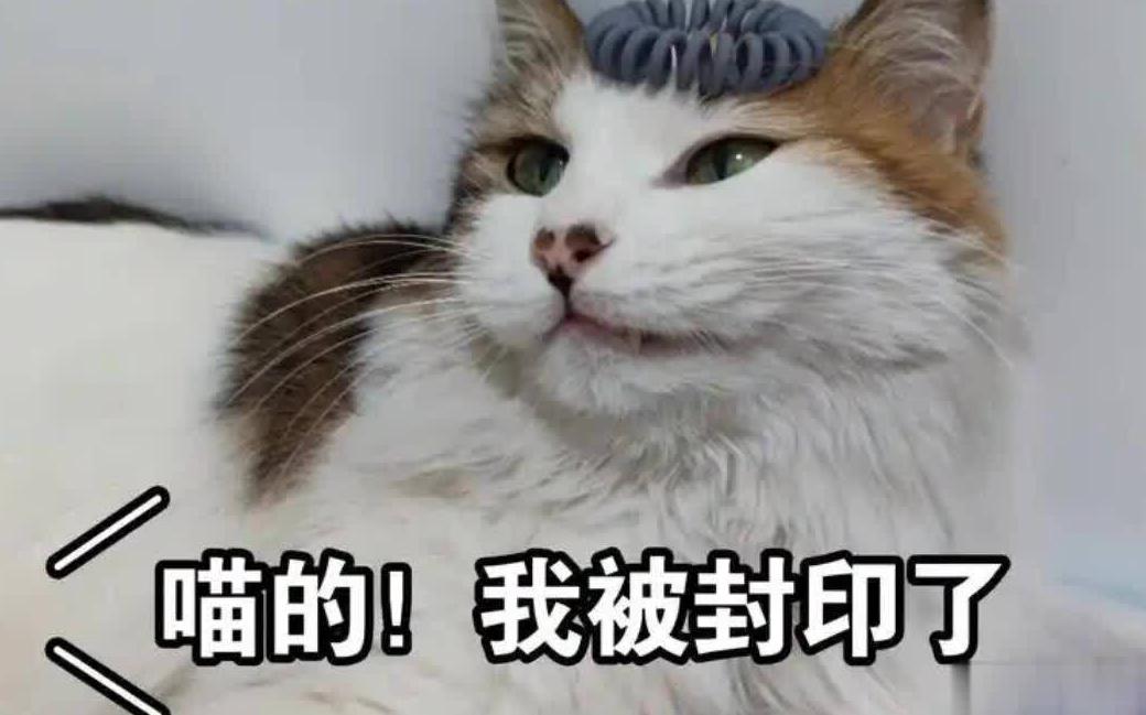 如何在海外看b站的番教程